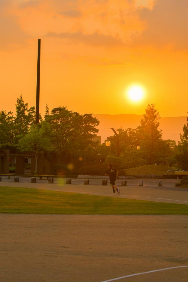 夕日と保原総合公園の写真