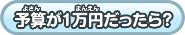 予算が1万円だったら？