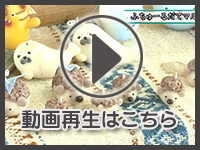 7月15日の映像を見る