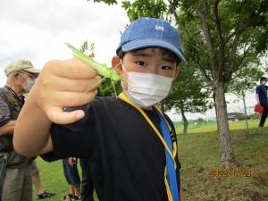 夏の自然体験