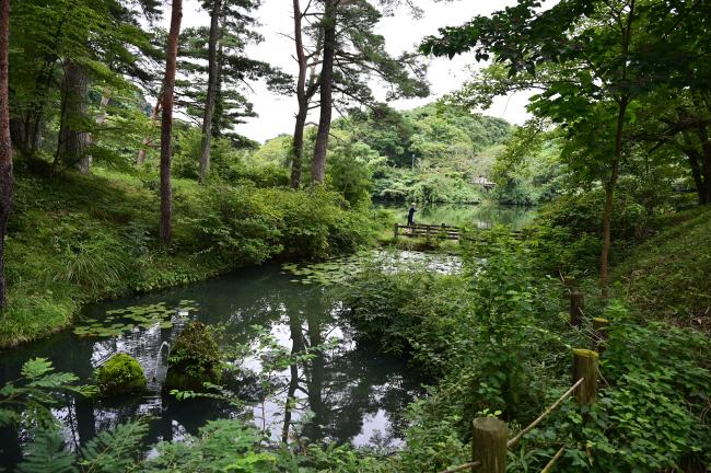 希望の森公園のお林沼の写真