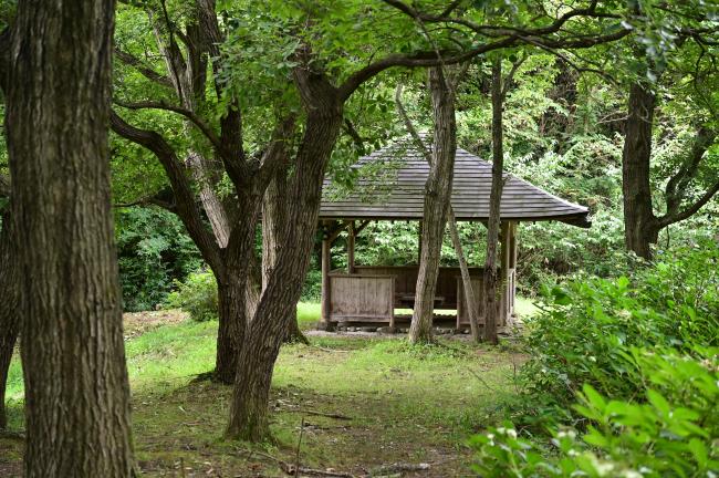 希望の森公園の休憩所の写真