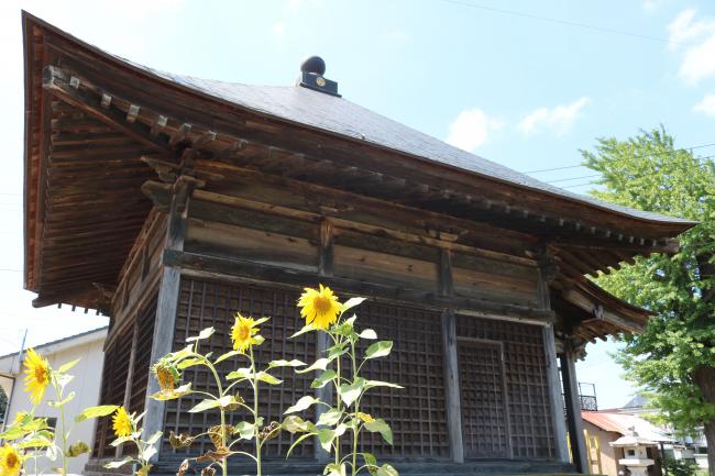 Sunflowers' Beams of Hope ・ 向日葵も目処も立つ
