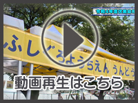 11月4日の映像を見る