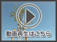 12月2日の映像を見る