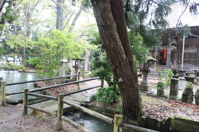 The Region’s Sturdiest Bridge ・ 地方最強の橋