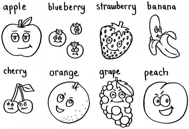 Fruity Figures ・ 果実の姿