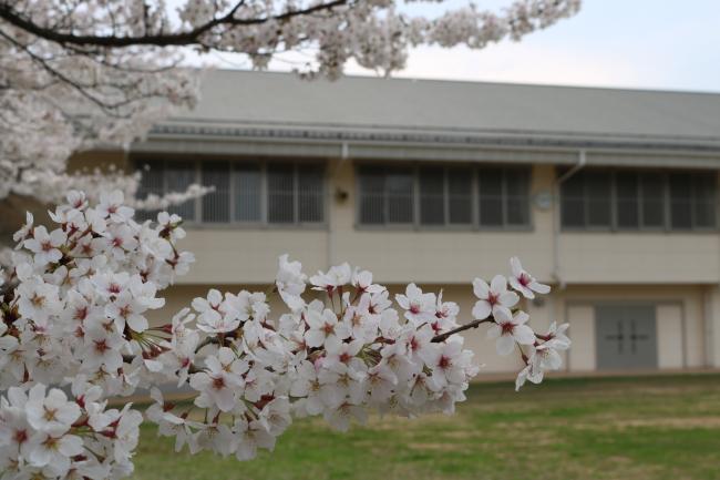 Awaiting New Students ・ 入学生待ち
