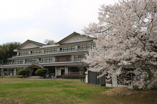Waiting for the School to Open ・ 学校が開くのを待っている