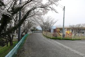 All Cherry on the Western Front ・ 西部戦線満開桜