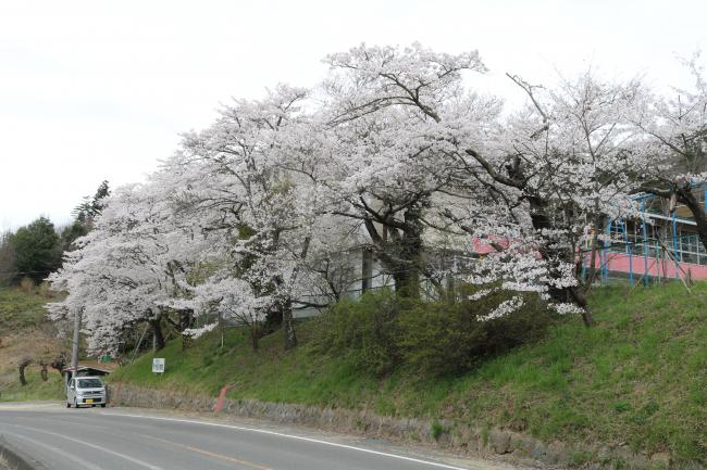 Bigger than the Billboard	・ 看板より大きい