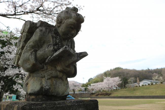 Bloom Where You Are Planted ・ 植わられた場所で咲きなさい