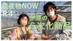 農産物NOWのサムネイル画像
