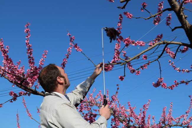 Up to the Challenge ・ 花の紹介を受けて立つ