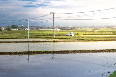 田園風景と朝日の写真
