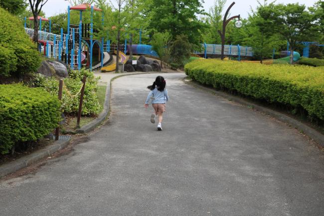 In Search of Play ・ 遊びの捜索