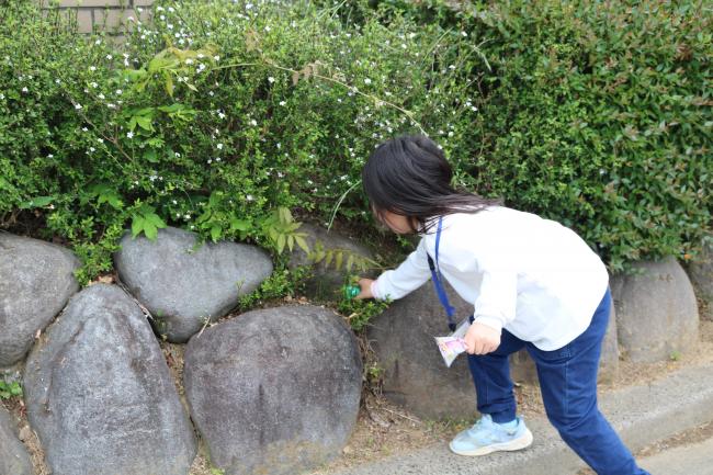 See the Forest for the Eggs ・ 木を見て卵も見る