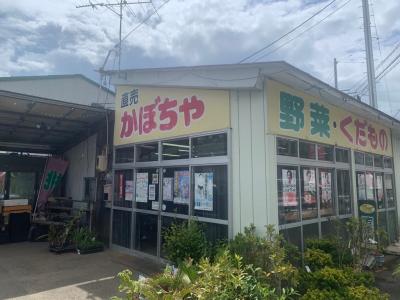 直売かぼちゃ