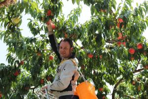 ...Then Take the Fruit ・ ...そして実を狩る