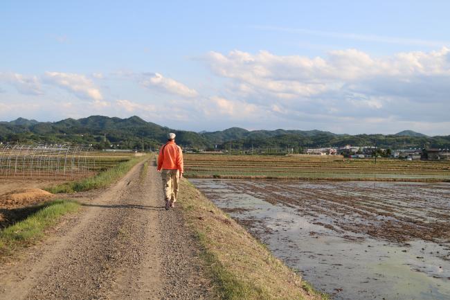 Walk, Don’t Run ・ 走らせず歩きなさい