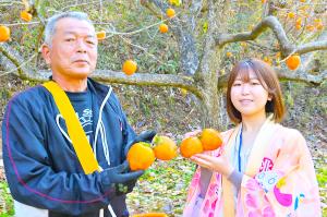 あんぽ柿生産者、佐藤孝一さん