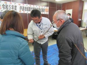 桃の摘蕾に関する実習