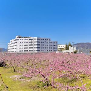 北福島センターと桃源郷