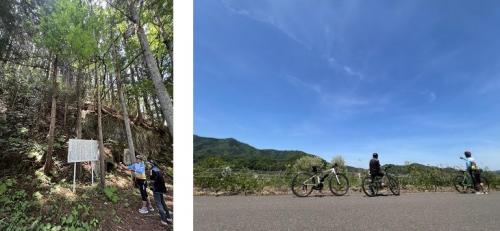 つきだてサイクリング