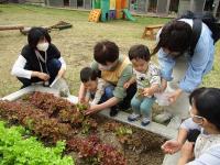 イベントの様子です