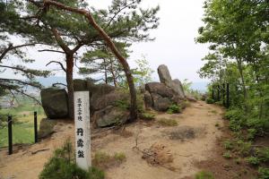 たんろばんの画像