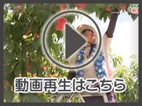 8月9日の映像を見る