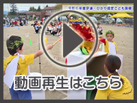 11月15日の映像を見る