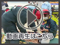 11月29日の映像を見る