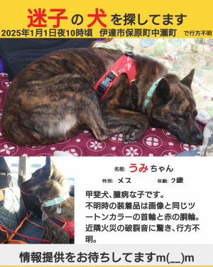 写真３