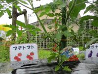 イベントの様子です