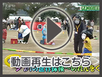 11月7日の映像を見る