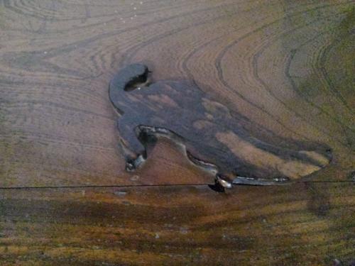 GW資料館まつり