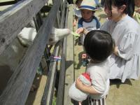 イベントの様子