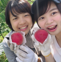 桃