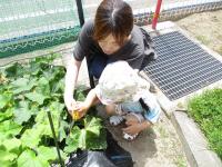 イベントの様子