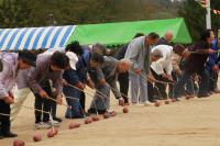 堰本小学校　堰本地区恒例のさつまいも釣り競争