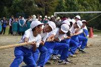 粟野小学校　綱引きで声を掛け合う白組