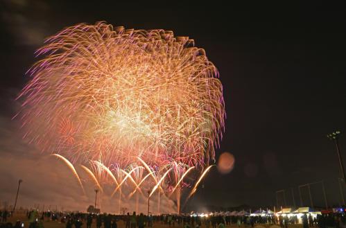 冬花火1