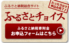 ふるさとチョイス申し込みフォーム