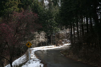 Road
