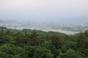 rice fields