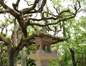 Enterance to Kumano Shrine