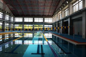 Image of the Pool