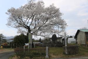 下手渡藩陣屋後