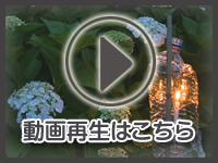 8月3日の映像をみる